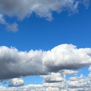 Meet your Posher, Riyonna